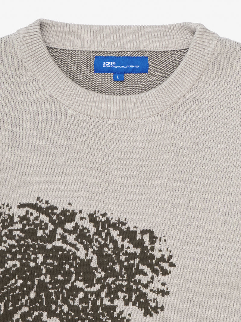 Philosophy Knit - Birch