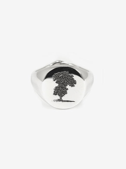 Philosophy Ring