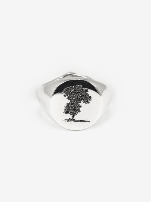 Philosophy Ring