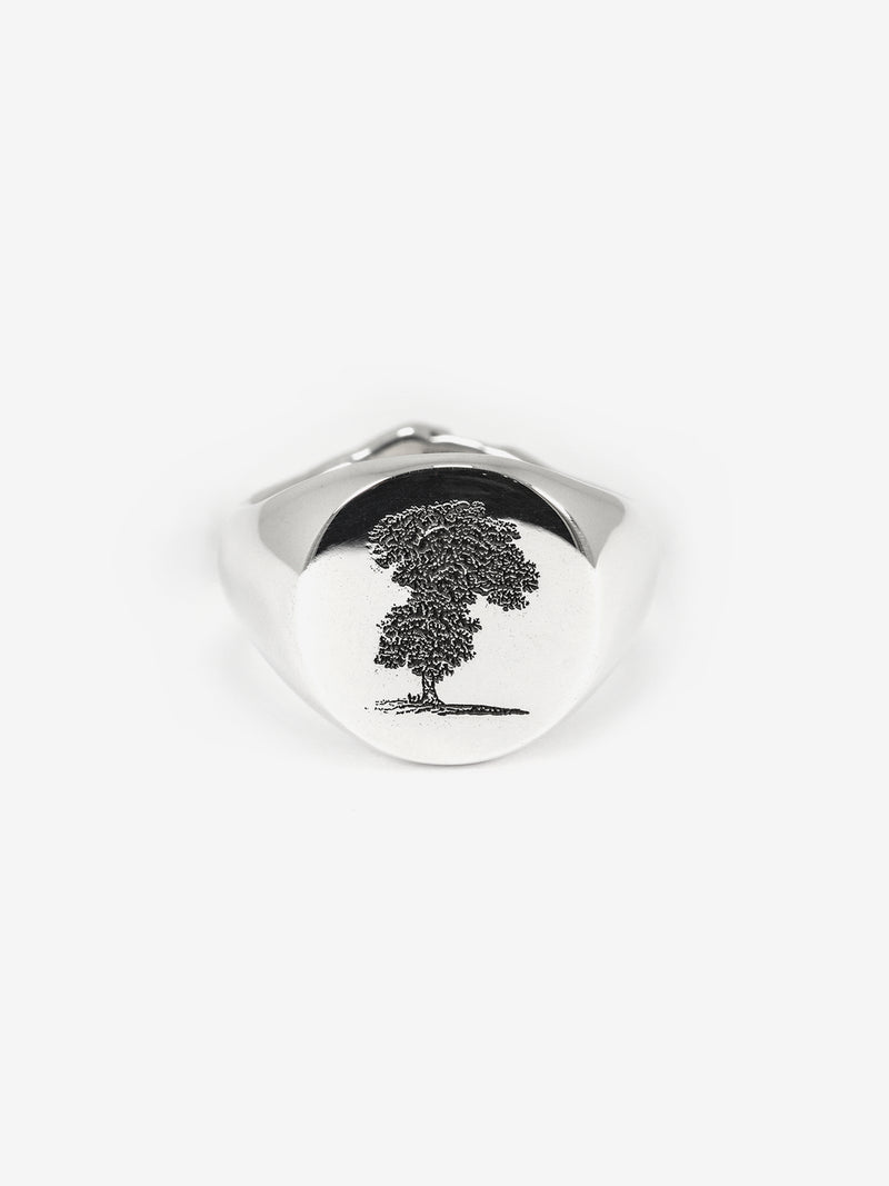 Philosophy Ring